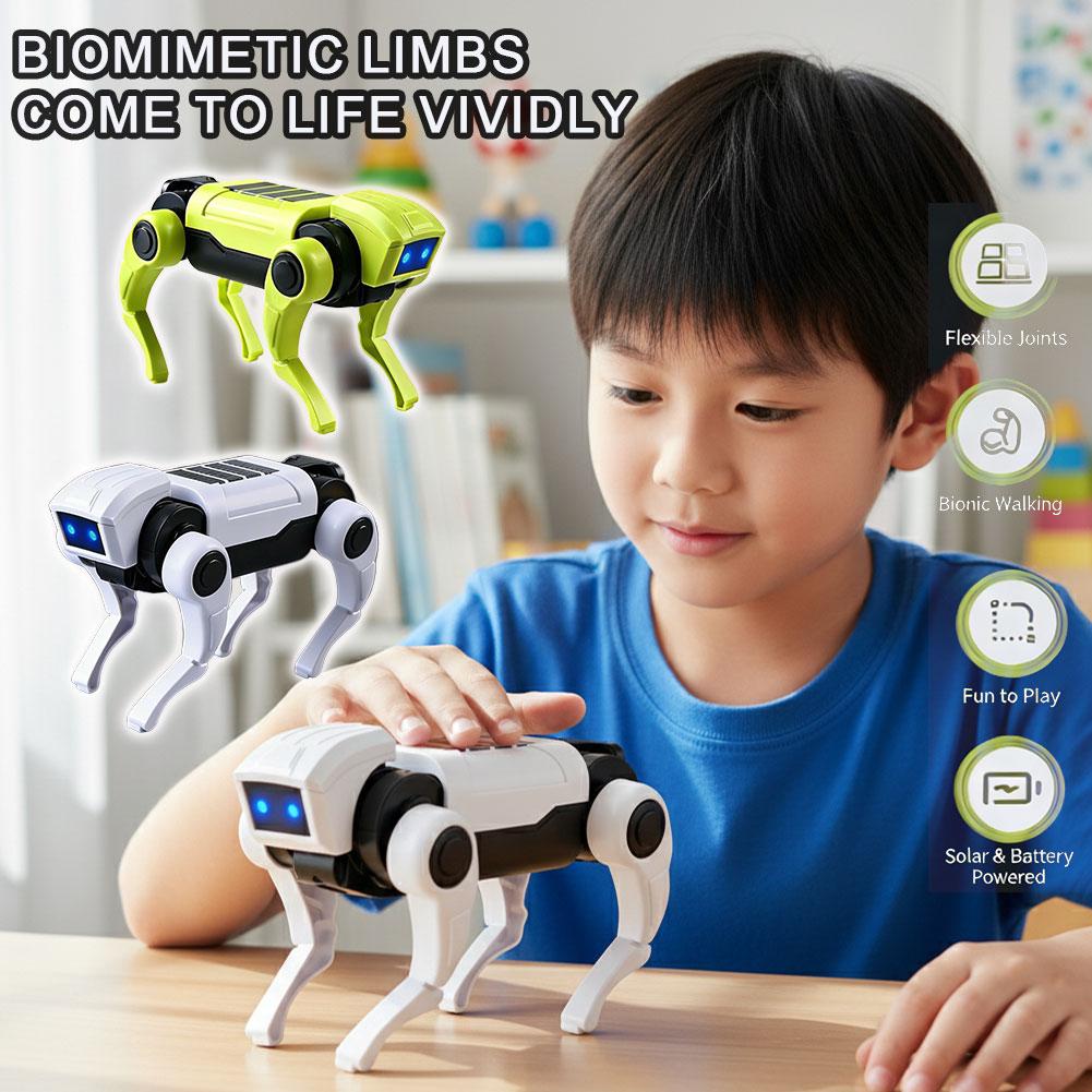 Science Toys Diy - DIY Montaj RC Robot Köpek Oyuncak