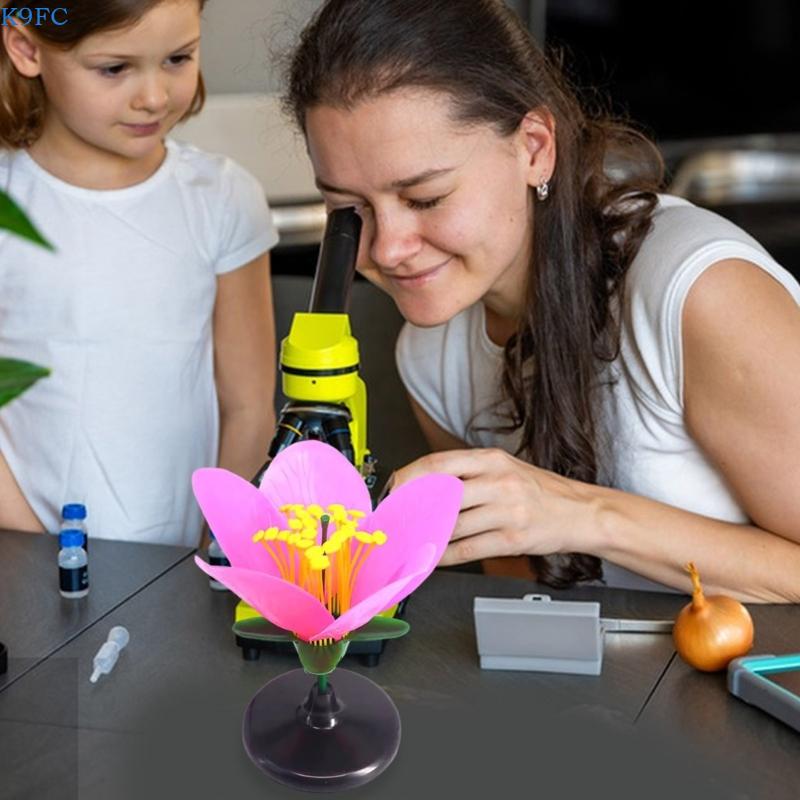 K9FC Bilim Sergileri İçin Gerç - Science Exhibition Models incelemesi ve fiyatı