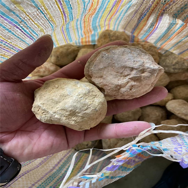 Kendi Geodesinizi Kırın Doğal  - Geode Crystal Break incelemesi ve fiyatı