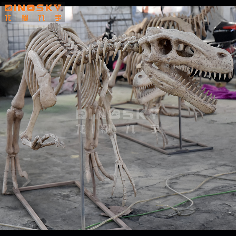 ATV&UTVReçine Raptor İskeleti  - Science Exhibition Models incelemesi ve fiyatı