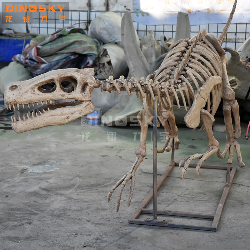 ATV&UTVReçine Raptor İskeleti  - Science Exhibition Models incelemesi ve fiyatı