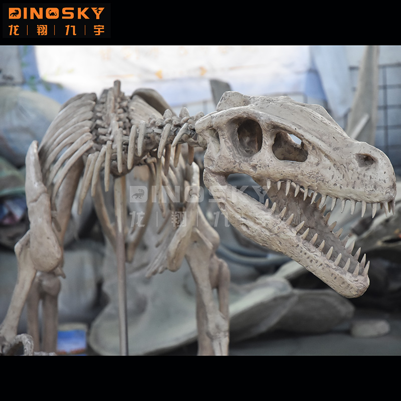 ATV&UTVReçine Raptor İskeleti  - Science Exhibition Models incelemesi ve fiyatı